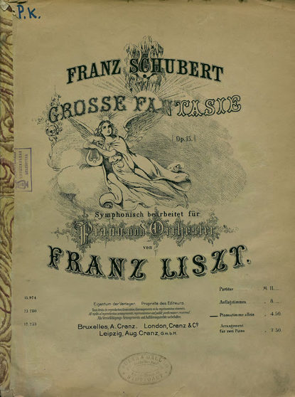 Grosse Fantasie, op. 15, fur Piano und Orchester v. F. Liszt simphonisch bearb. Pianostimme allein