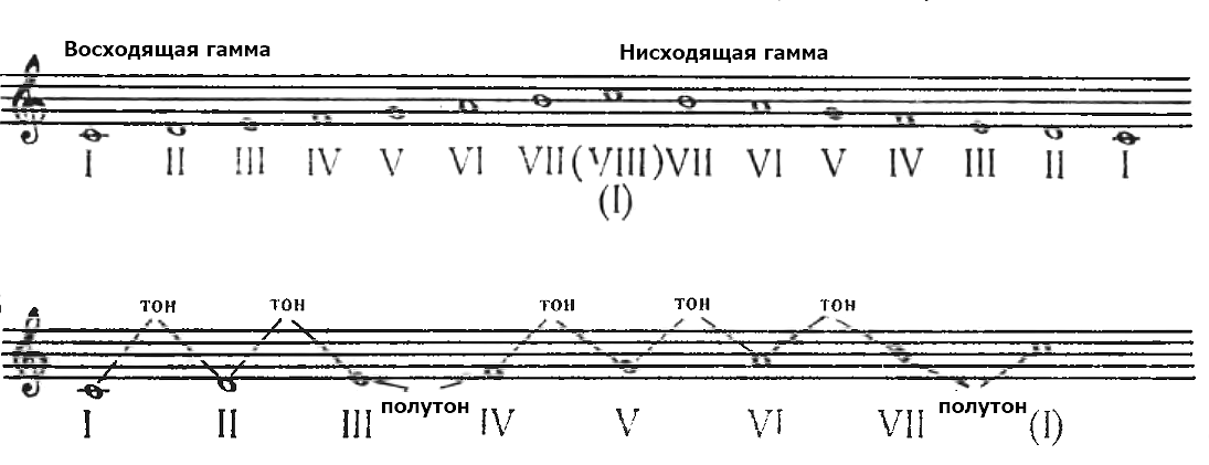 гамма до мажор - мажорный лад