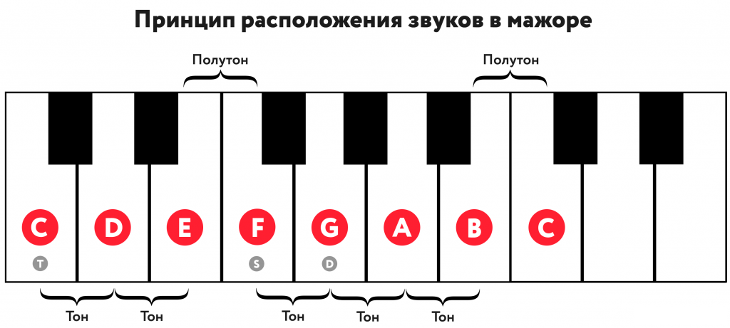 структура мажорной гаммы