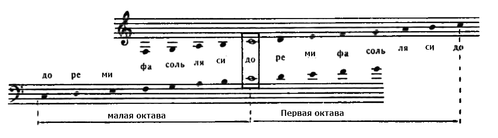 первая и малая октавы  - ноты в басовом ключе для фортепиано