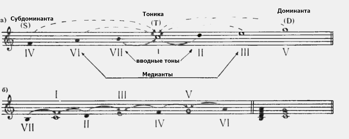 тоника, субдоминанта, доминанты