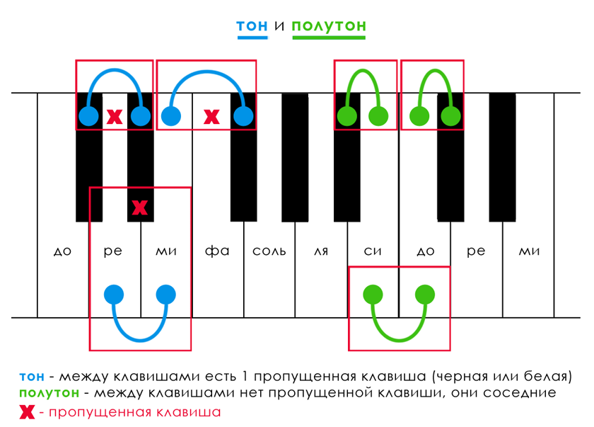 тон и полутон